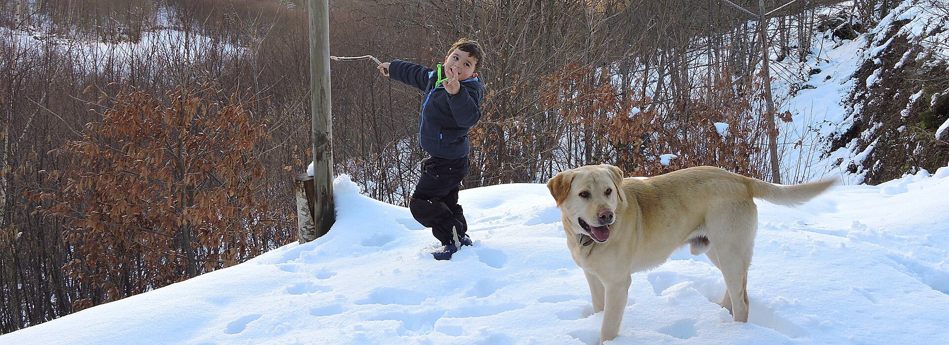 ⇝VIAJA TAMBIÉN CON TU MASCOTA⇜