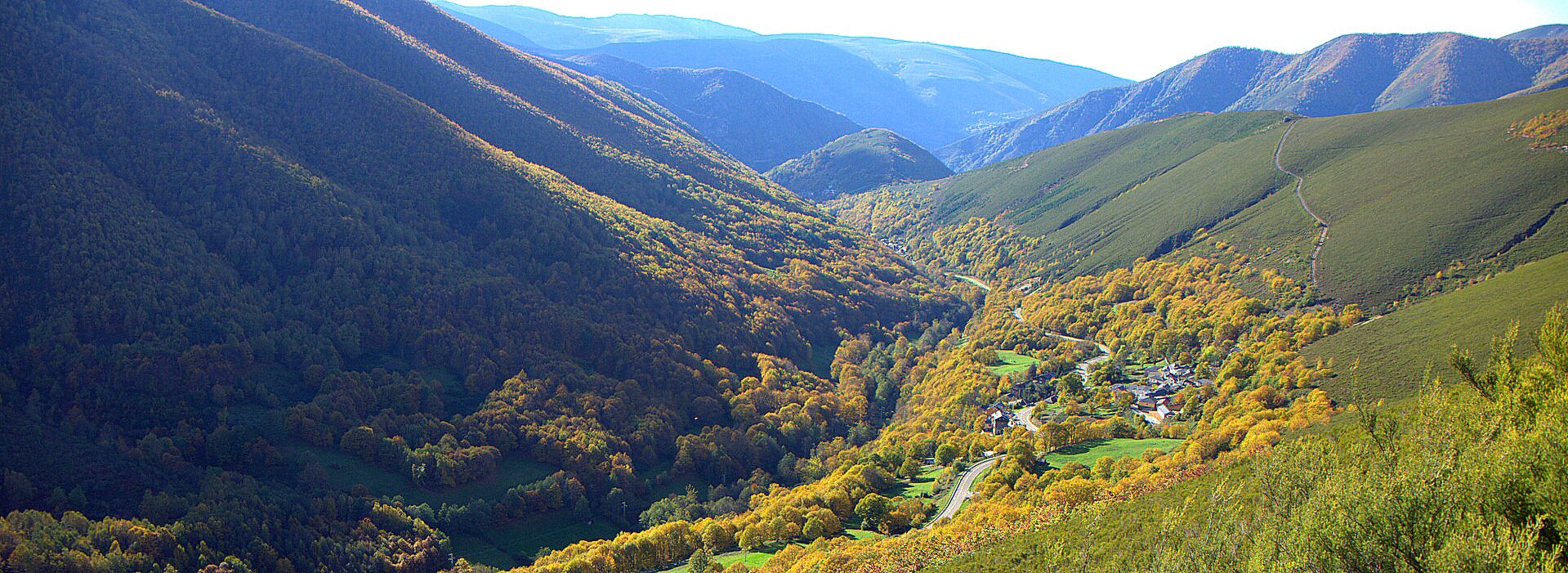 ⇝Vive y siente nuestro entorno con todos los sentidos⇜